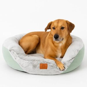 Cama Acolchada Grande